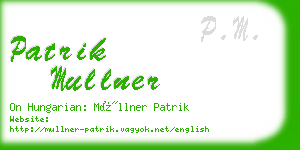 patrik mullner business card